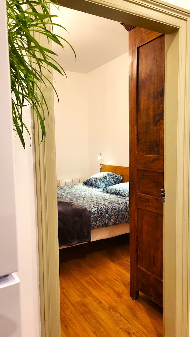 01 - Стая „Феликс“