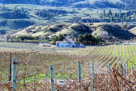 Oliver Oasis, Cab Franc: great swim spa & views!