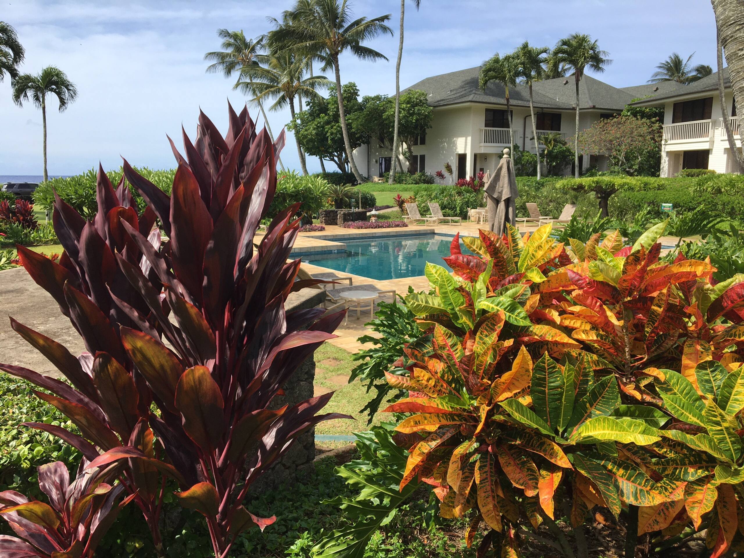 Condo in Koloa · ★4.95 · 1 bedroom · 1 bed · 2 baths - Image 17