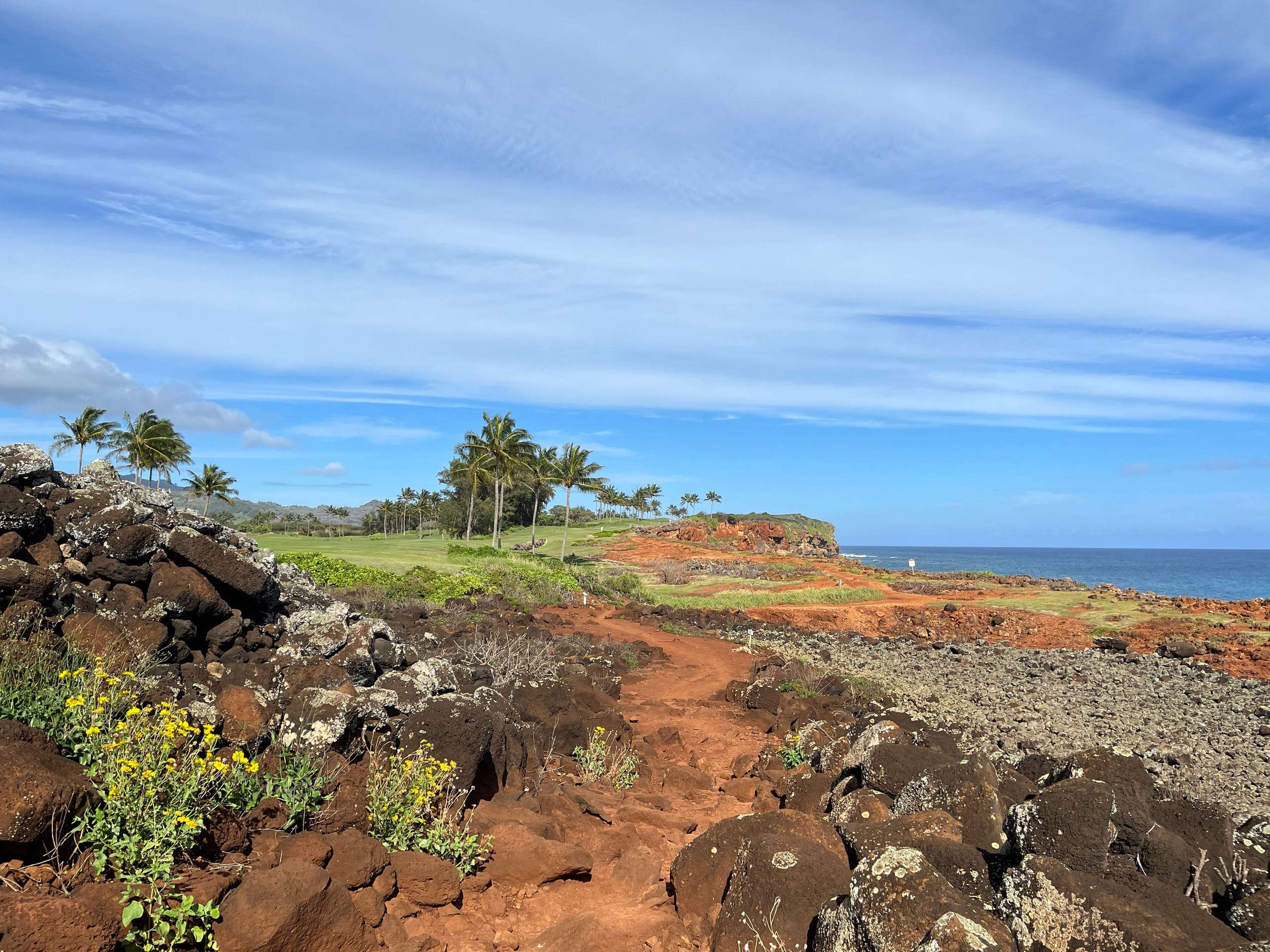Condo in Koloa · ★4.95 · 1 bedroom · 1 bed · 2 baths - Image 29