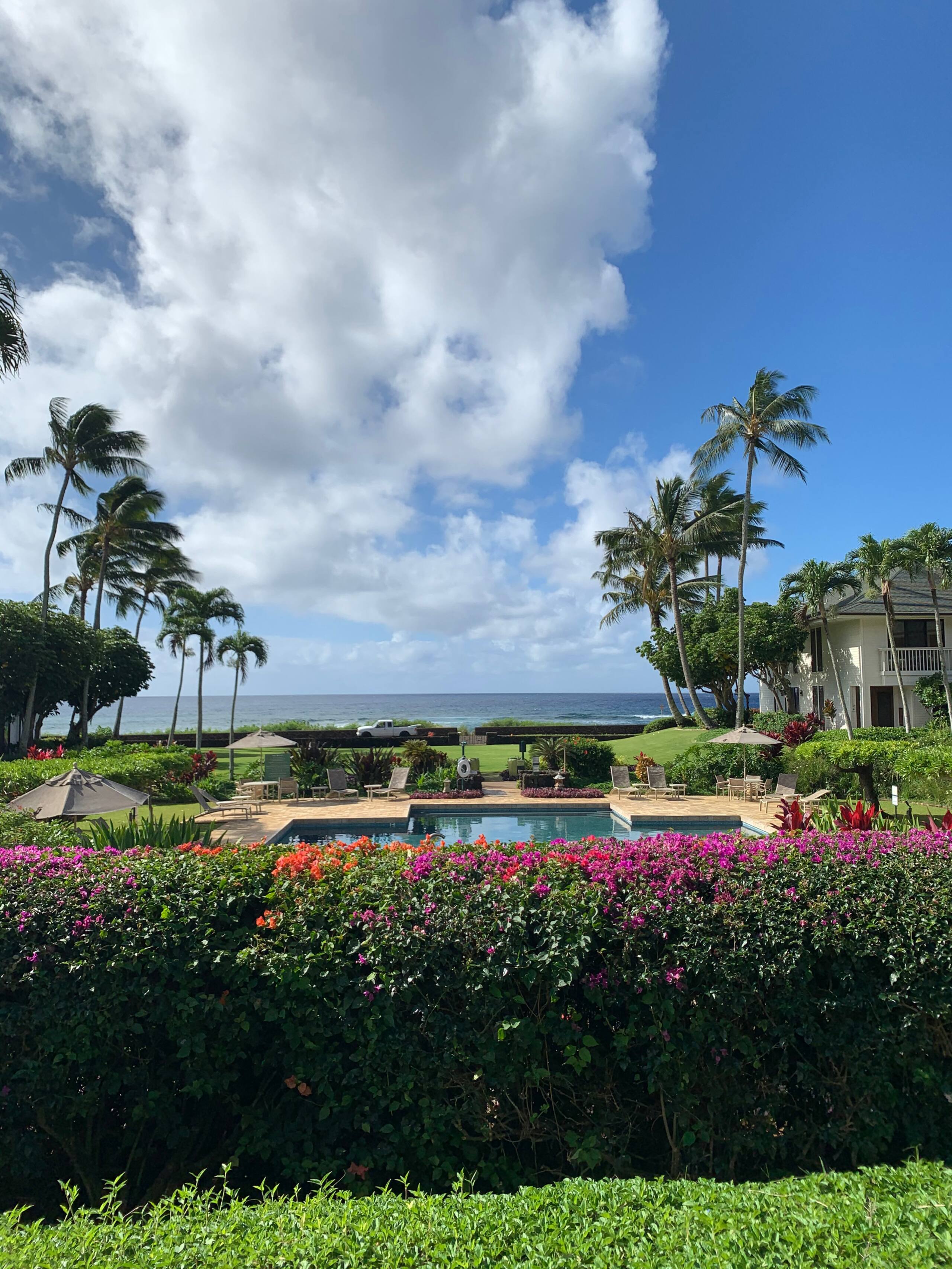 Condo in Koloa · ★4.95 · 1 bedroom · 1 bed · 2 baths - Image 16