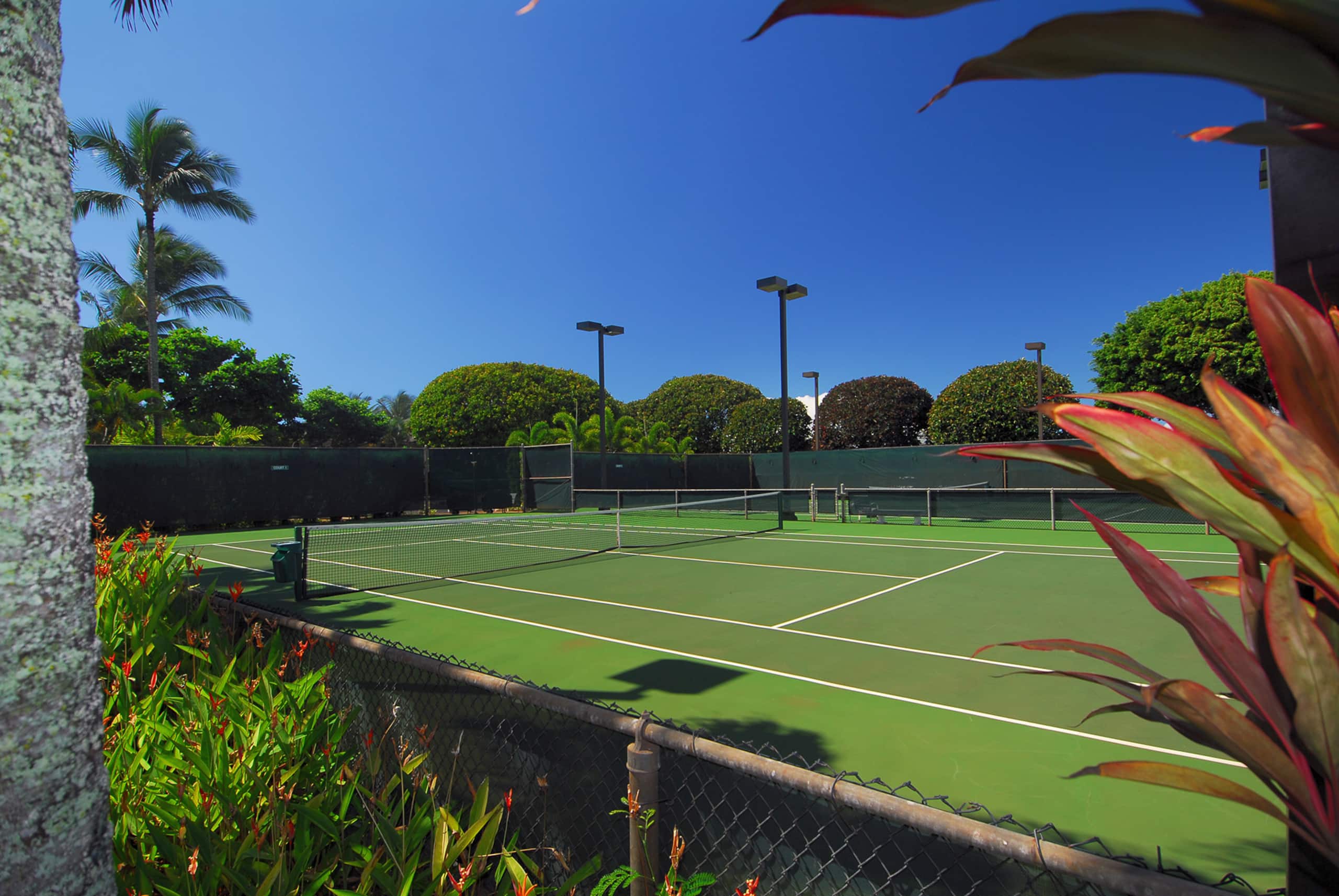 Condo in Koloa · ★4.95 · 1 bedroom · 1 bed · 2 baths - Image 22