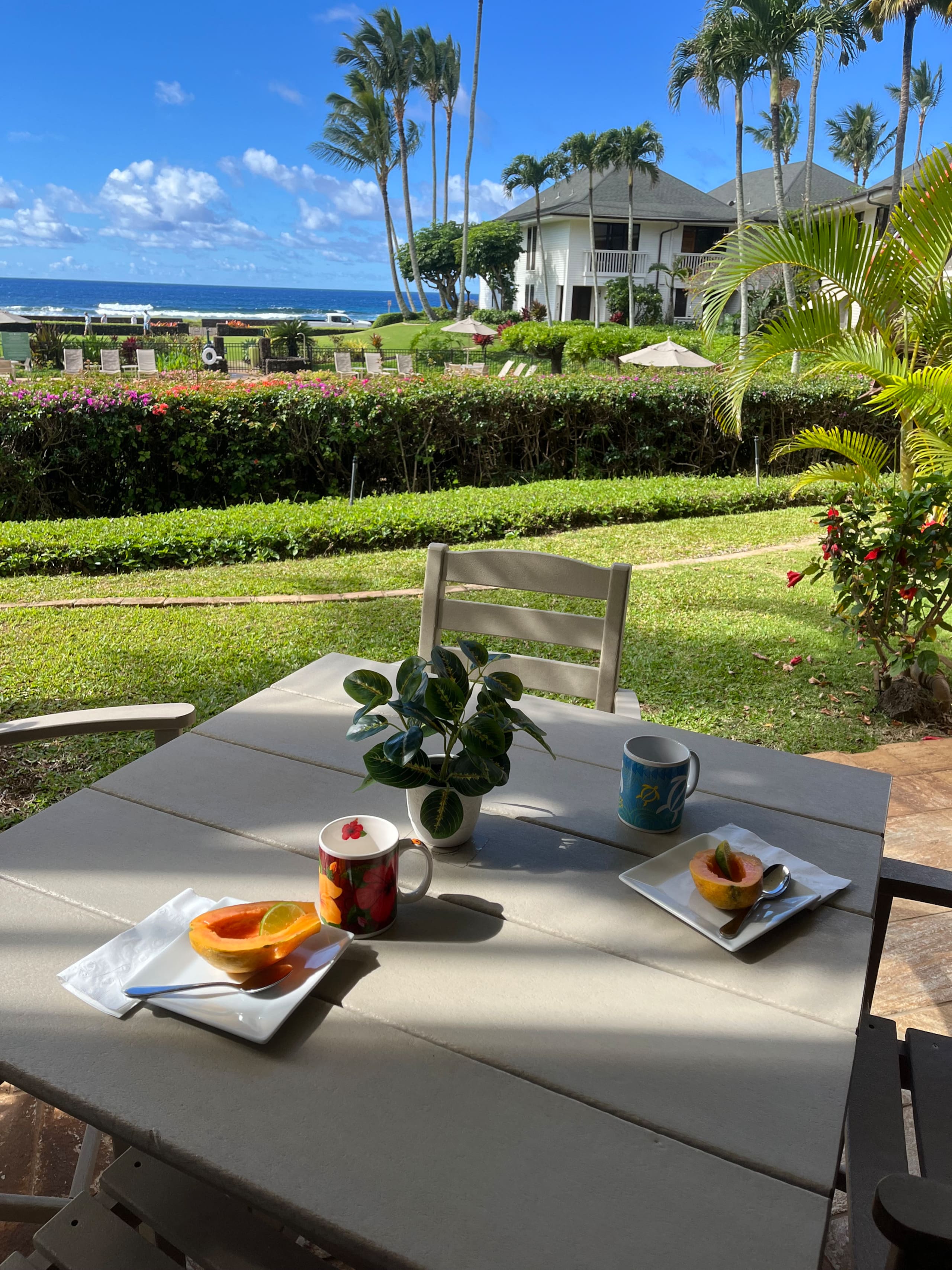 Condo in Koloa · ★4.95 · 1 bedroom · 1 bed · 2 baths - Image 12