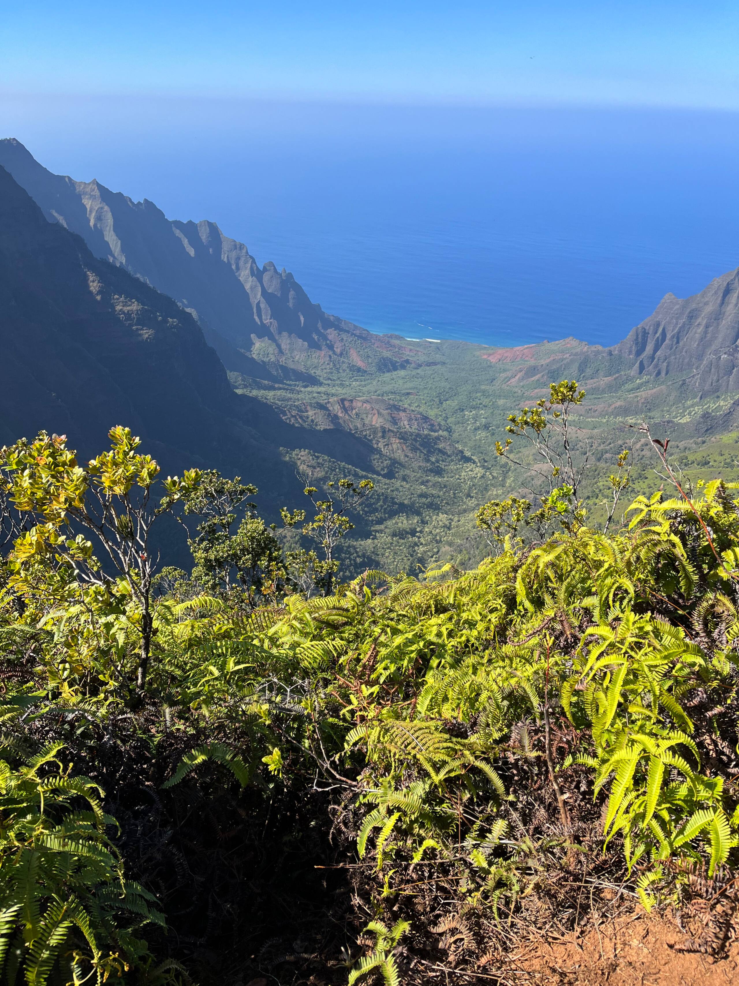 Condo in Koloa · ★4.95 · 1 bedroom · 1 bed · 2 baths - Image 28