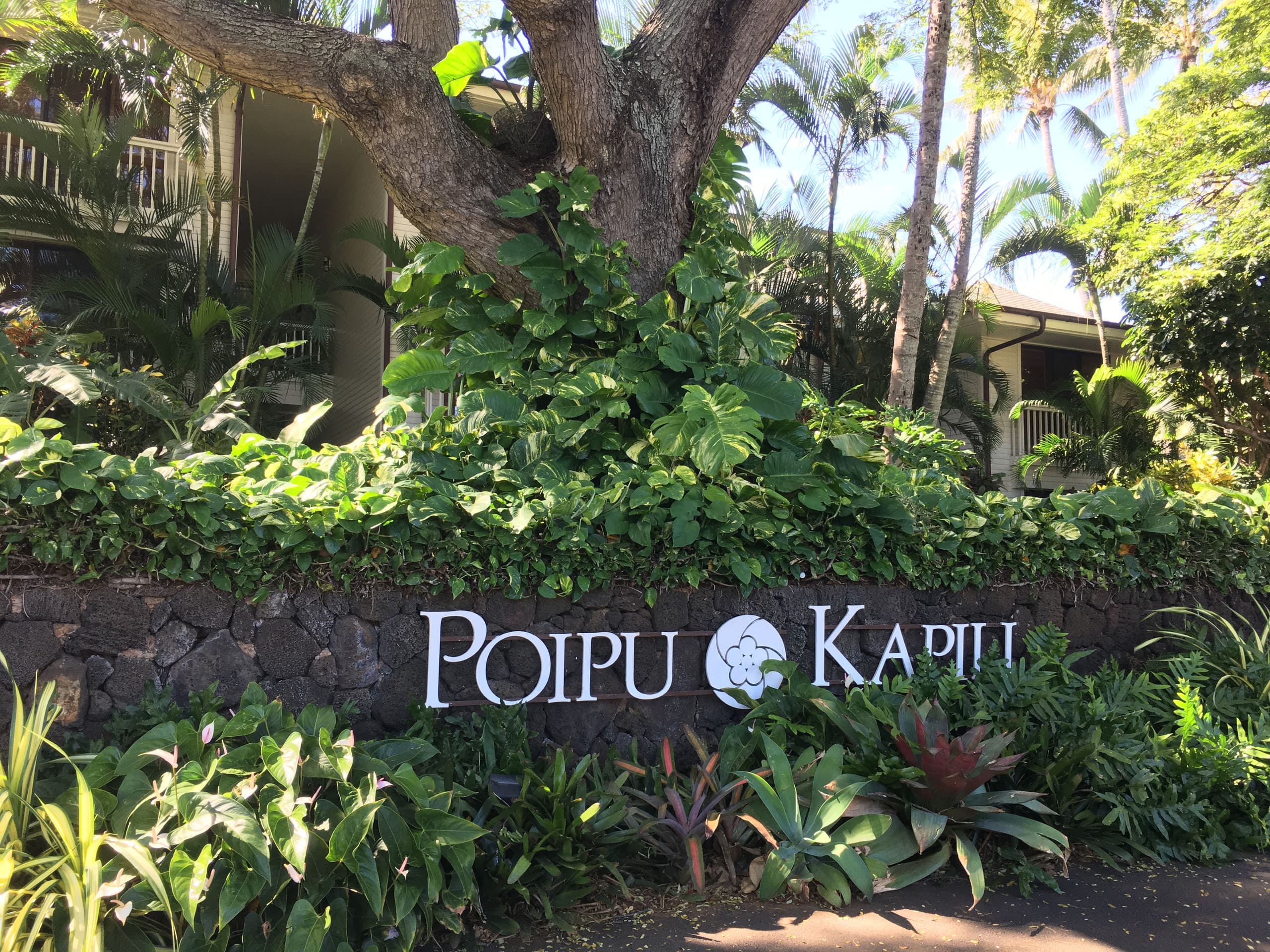 Condo in Koloa · ★4.95 · 1 bedroom · 1 bed · 2 baths - Image 26