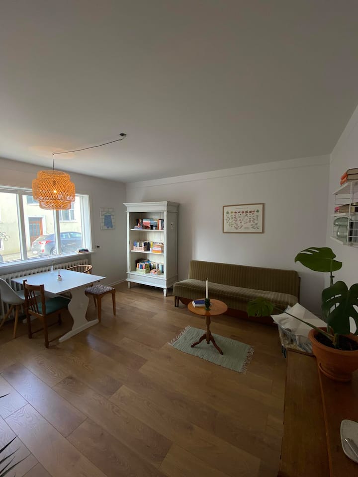 Apartment In The Heart Of Rvk - Islandia