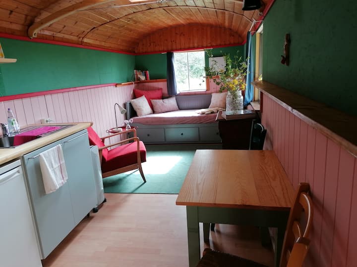 Tiny House/ Wohnwagen - Mecklenburgische Seenplatte