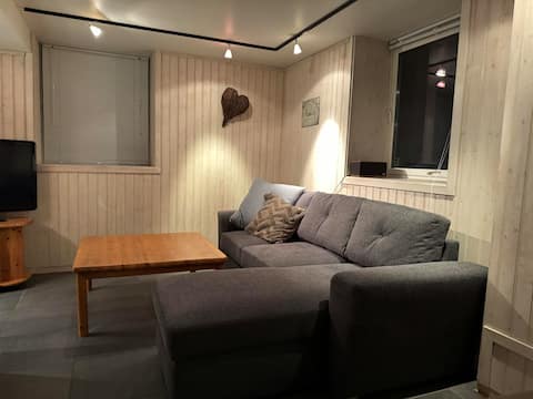 Top performing Airbnb: Pleasent and central apartment in Steinkjer