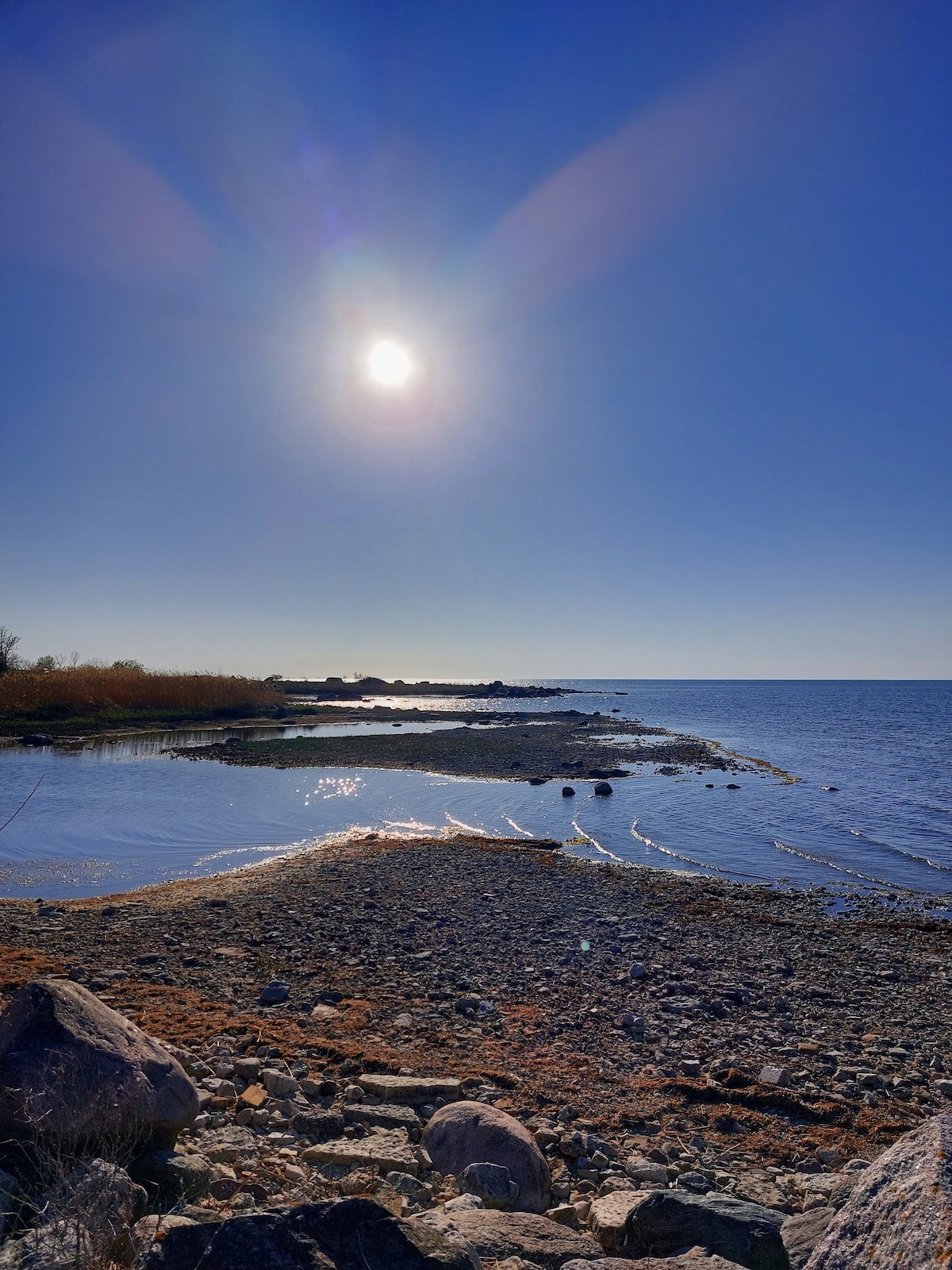 A serene shoreline is captured under a clear blue sky with the sun reflecting on the calm waters. Smooth rocks and pebbles line the water's edge, creating a natural border between land and sea. Gently swaying vegetation is visible in the background.