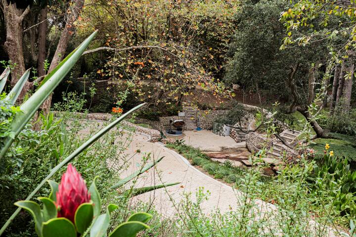 Witteboomen Forest Cottage gallery image 3