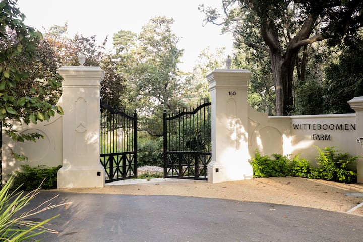 Witteboomen Forest Cottage gallery image 2