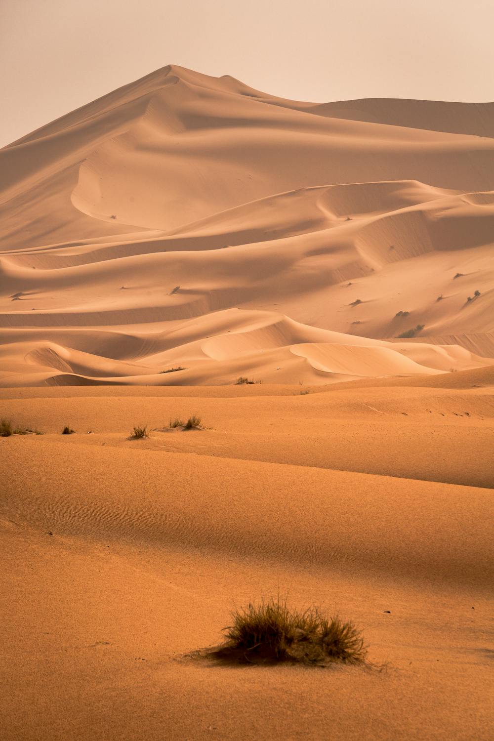 Vast dunes of soft, golden sand are showcased under a hazy sky. The landscape features undulating shapes, with scattered patches of sparse vegetation dotting the sandy expanse, emphasizing the serene and expansive nature of the desert environment.