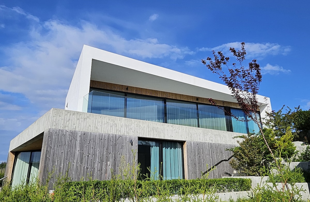 The exterior of the modern villa is showcased, featuring a blend of wooden and concrete materials. Large glass windows offer visibility into the interior. A neatly landscaped area surrounds the property, complemented by a blue sky with scattered clouds.