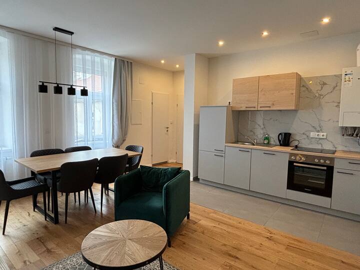 Stilvolle 6 P Wohnung, Ruhig, Modern, Zentral - Viedeň