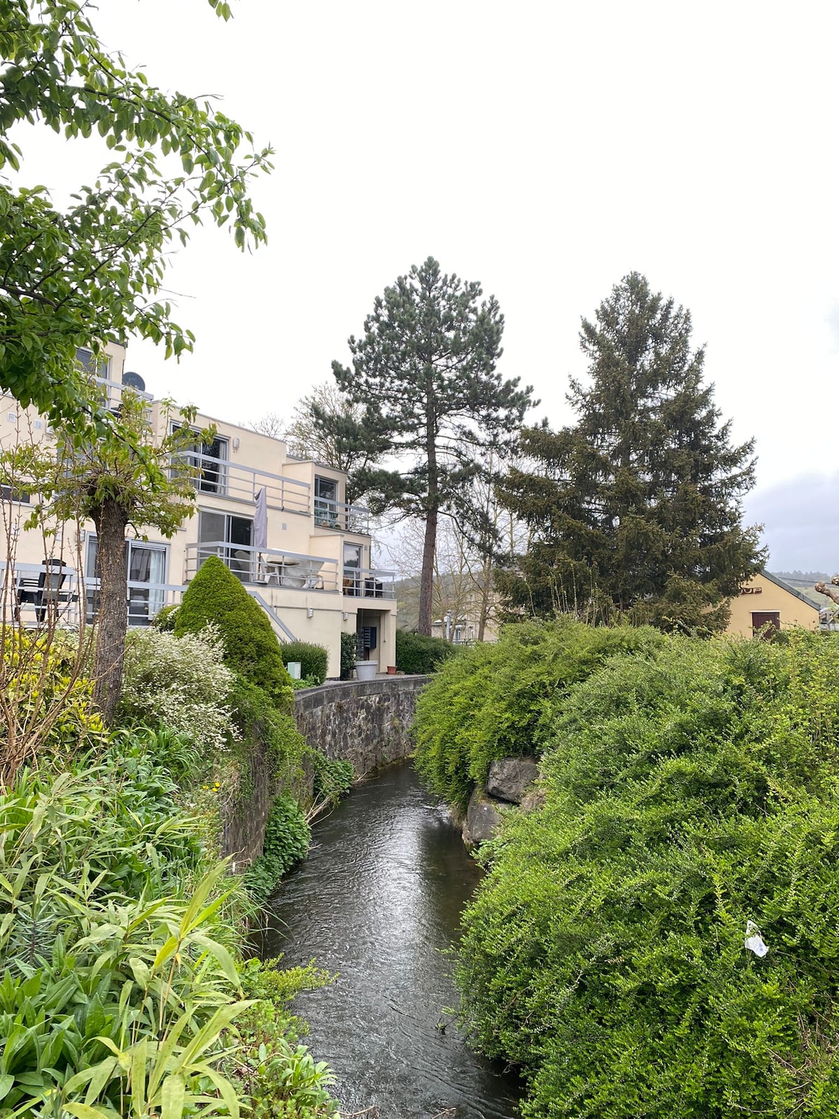 A serene setting is depicted, featuring a gently flowing stream bordered by lush greenery. The exterior of a contemporary building is visible, accompanied by tall trees and well-maintained shrubs, creating a peaceful ambiance in the surrounding landscape.
