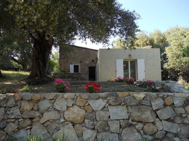 Petite Maison (Ancien Pailler) - L'Île-Rousse