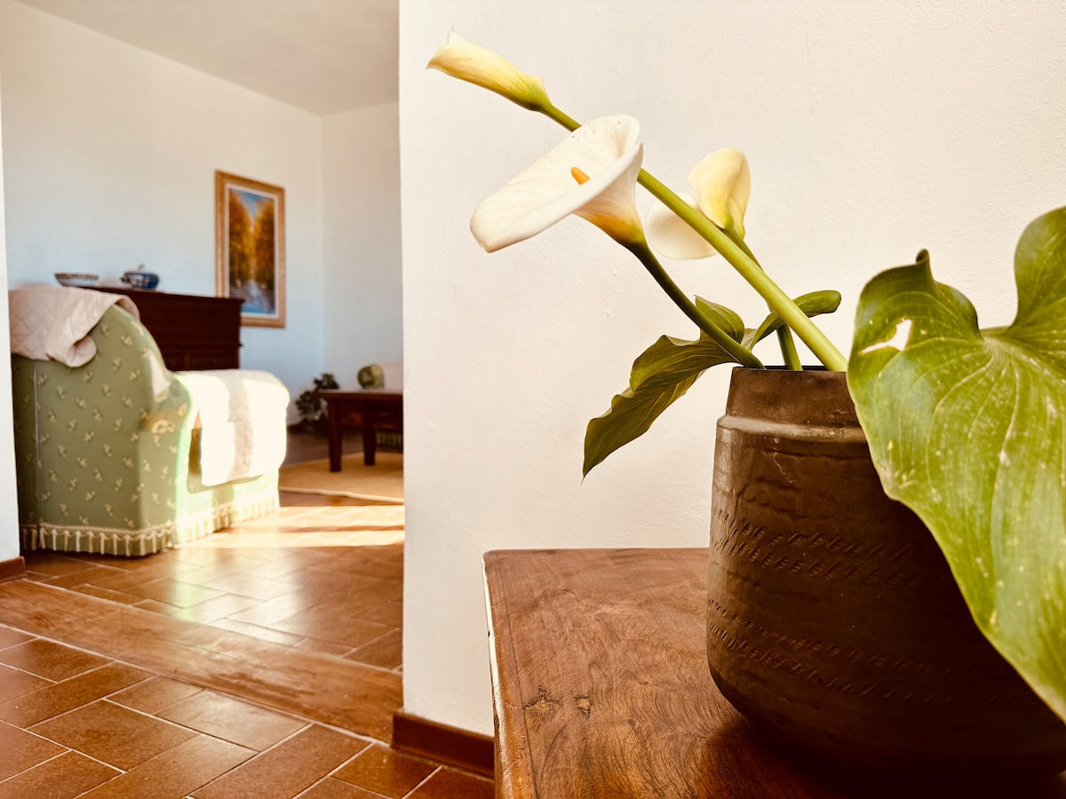 Top Airbnb: Casa Marcella Breathtaking View over Hills and Sea in Castagneto Carducci