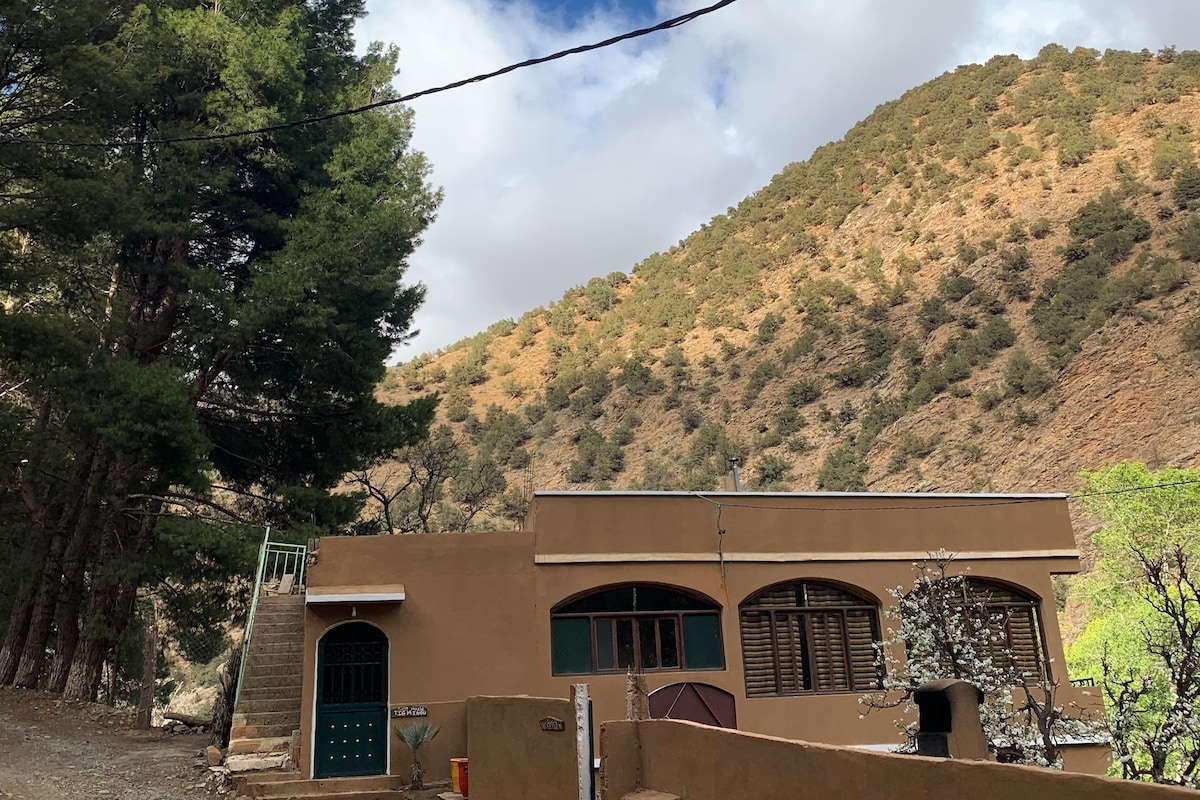 A charming house is nestled against a mountainous backdrop, surrounded by greenery. The front features large windows and a vibrant green door, offering a glimpse of the inviting interior. The rugged mountain landscape is visible in the background, enhancing the serene atmosphere.