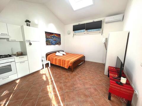Comfortable studio apartment downtown area