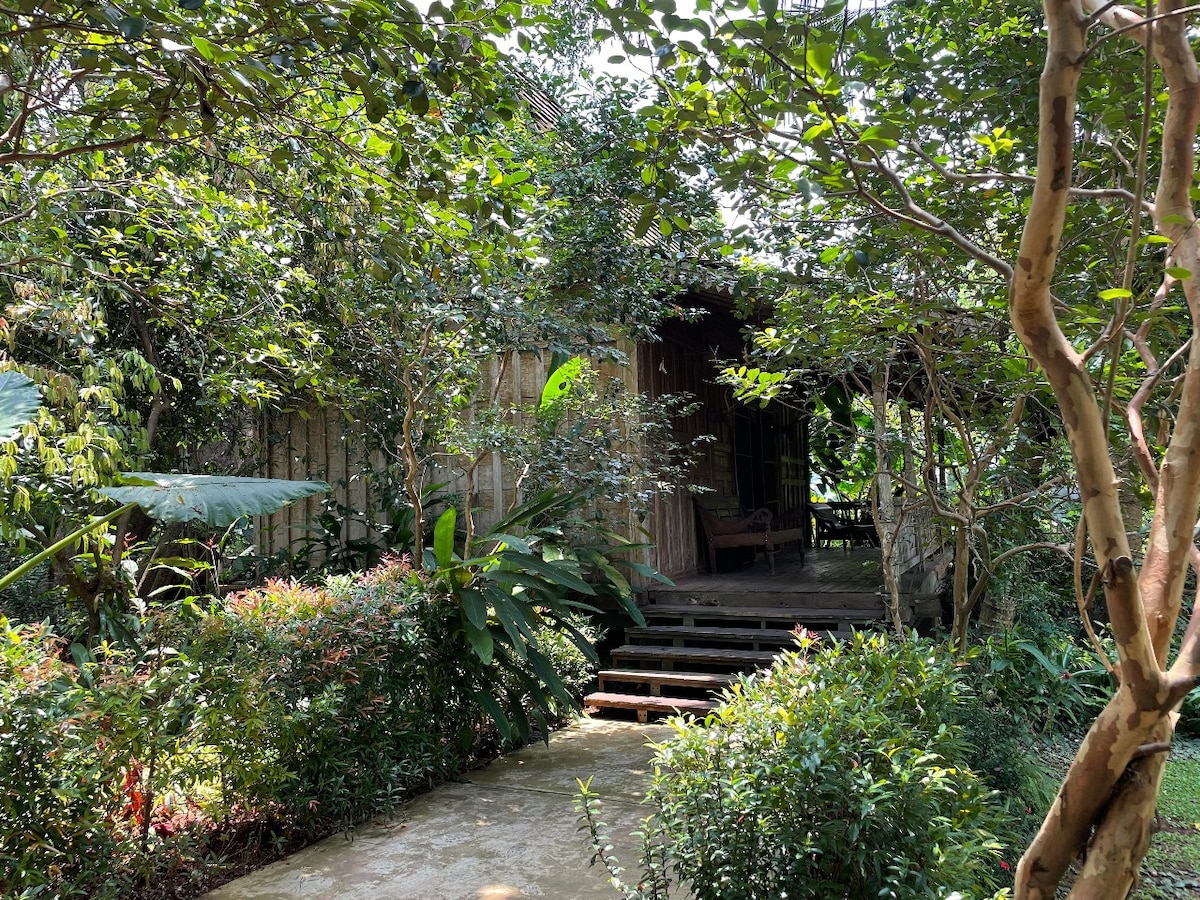 A pathway leads to a rustic structure surrounded by lush greenery, including various plants and trees. The entrance features wooden steps, and a shaded area suggests an inviting atmosphere with seating visible through the foliage.
