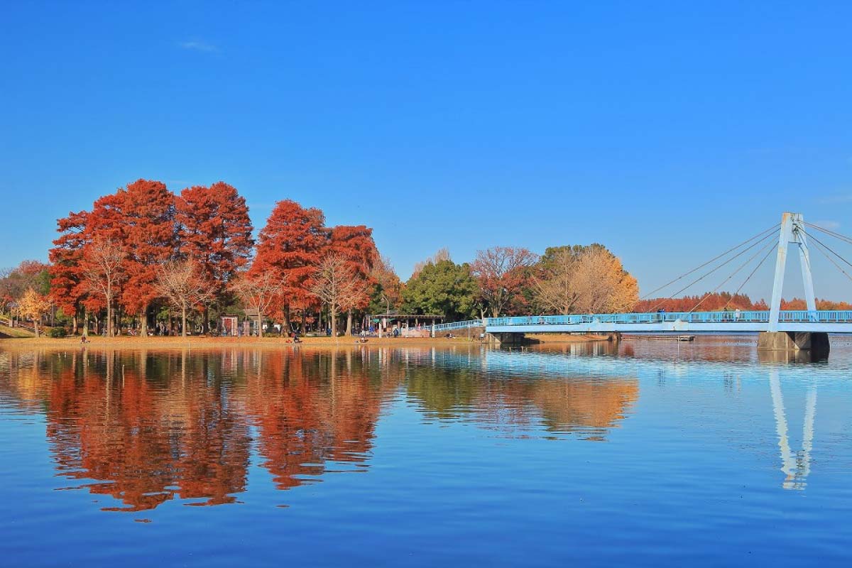 A serene landscape is depicted, featuring a body of water reflecting vibrant autumn trees in shades of red and orange. A bridge crosses the water, connecting the park area on the opposite shore, under a clear blue sky.