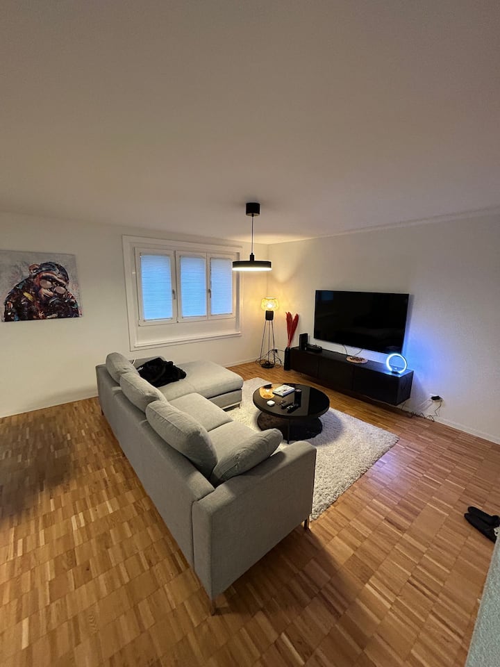 Appartement Moderne Neuchâtel - Neuchâtel