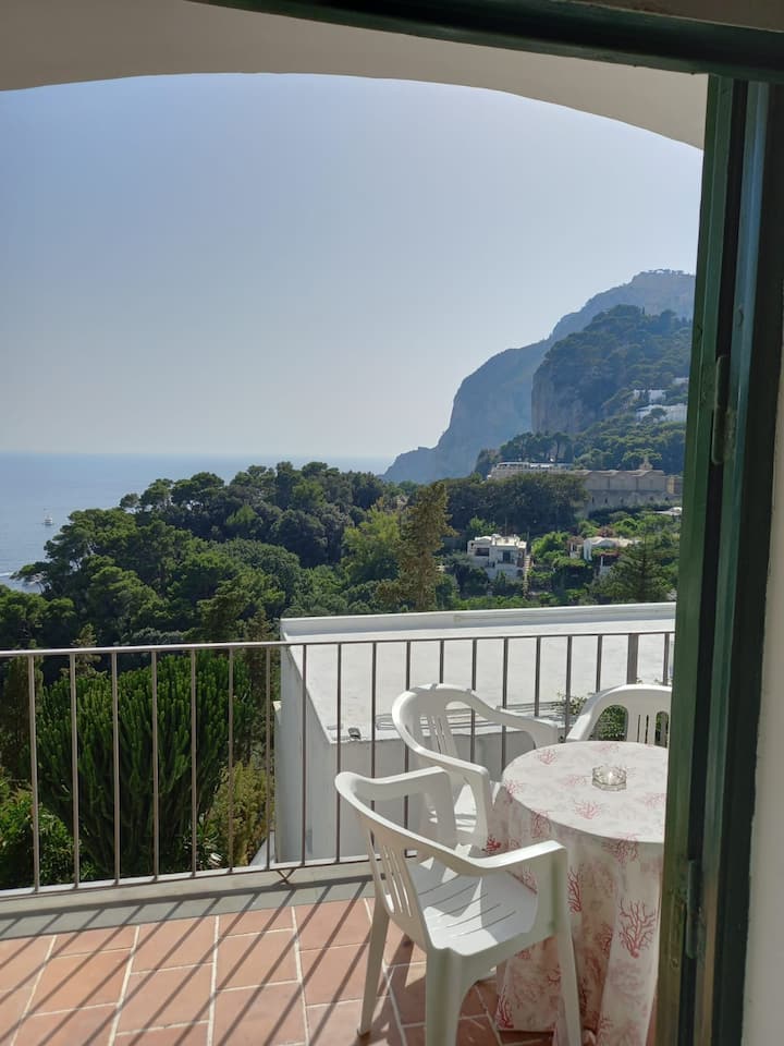 Centralissimo E Superpanoramico - Capri