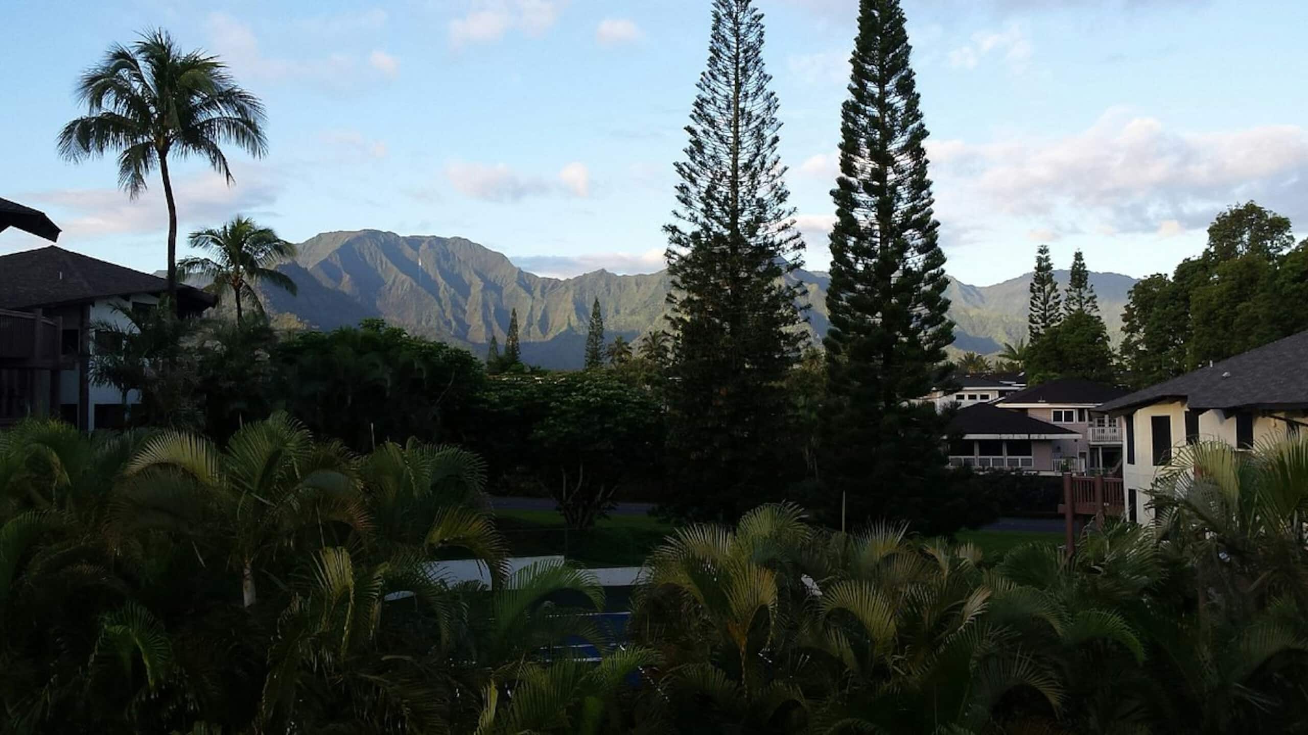 Ka Eo Kai  Resort 2 BR w/ POOL & HOT TUB - Photo 23