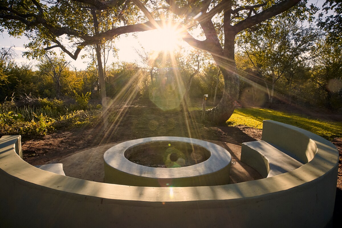 A circular seating area made of stone is positioned around a fire pit, surrounded by lush greenery. Sunlight filters through the trees, casting rays that illuminate the serene setting. The natural environment enhances the peaceful atmosphere of the campsite.