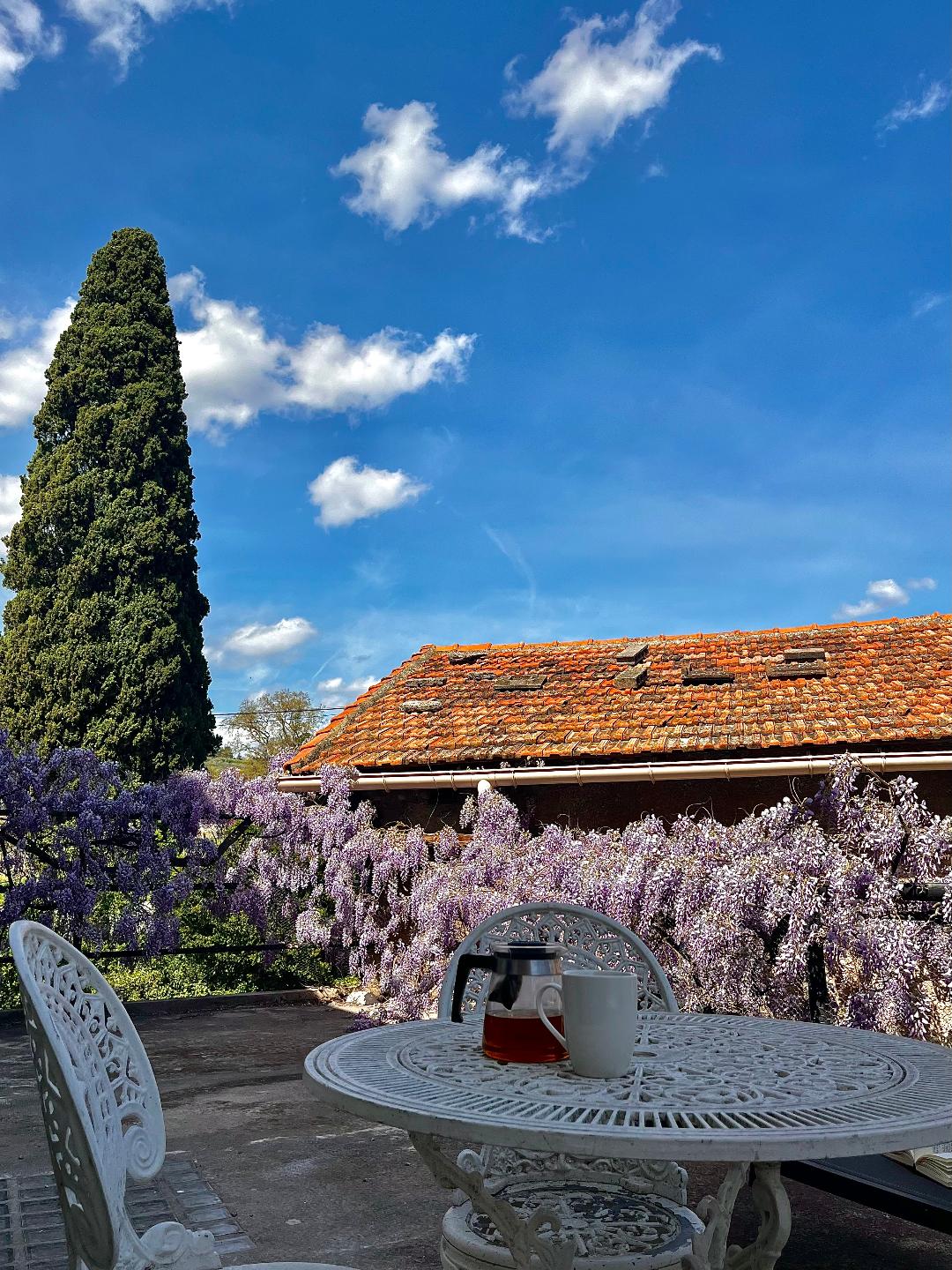 A sunlit terrace is adorned with a white, intricate table set for two, showcasing a cup of tea. In the background, a vibrant wisteria vine cascades over a rustic wooden structure, complemented by a tall, green cypress tree under a clear blue sky filled with fluffy white clouds.