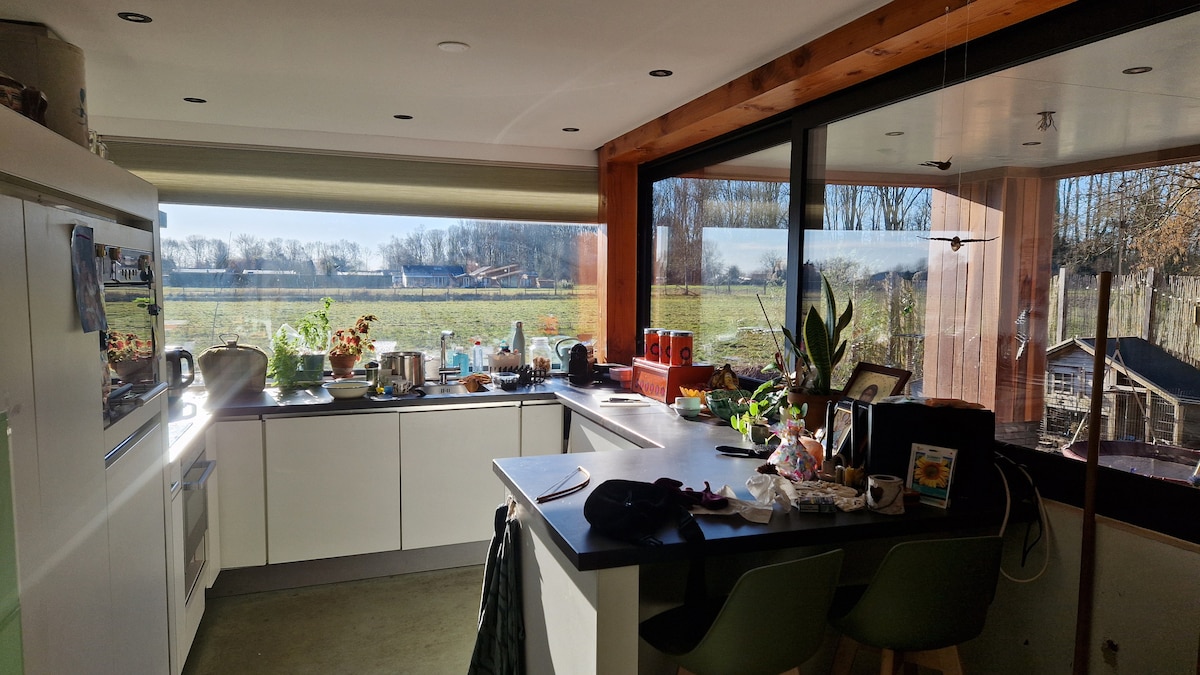 A modern kitchen features a large window offering a view of the greenery outside. Natural light illuminates the space, highlighting a mix of appliances, an island with seating, and various plants on the counter. Items related to cooking and dining are arranged thoughtfully on the surfaces.
