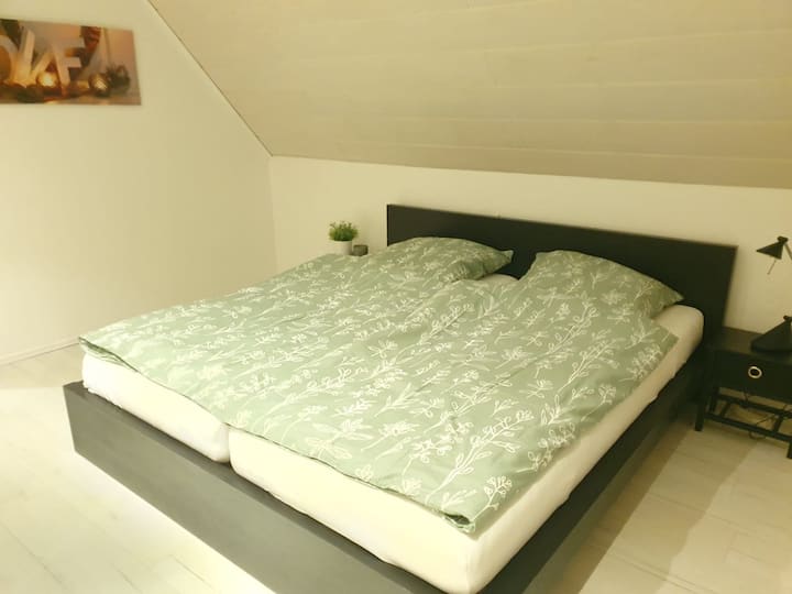 Habitación 1