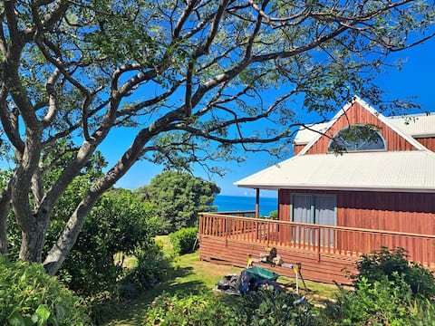 Hidden Coastal Retreat, Gisborne