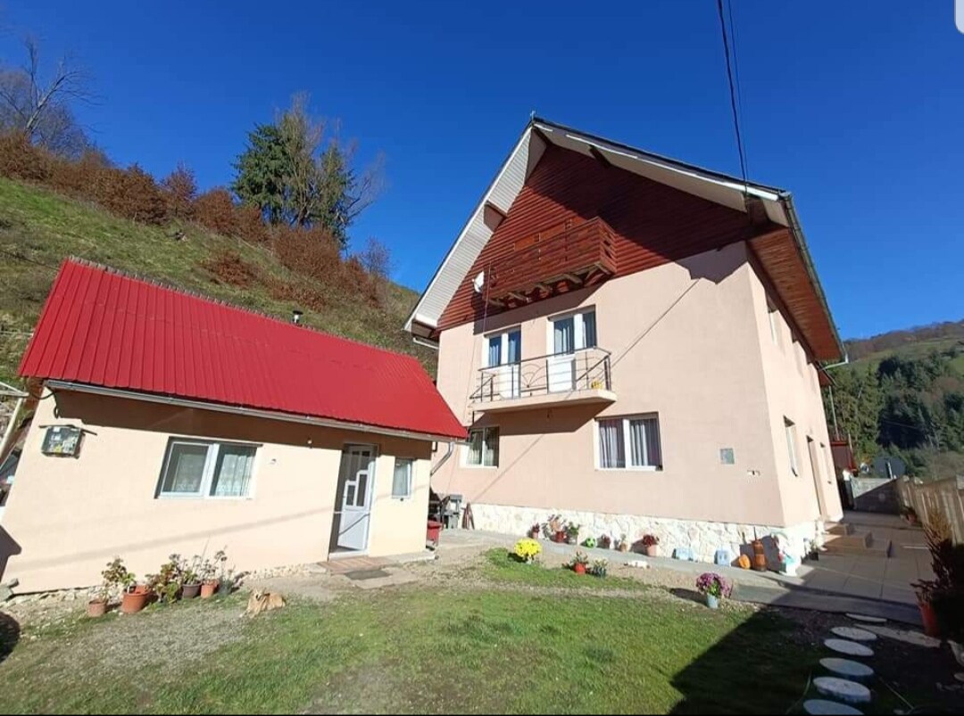 A two-story house with a distinctive red metal roof and light-colored walls is featured. A separate annex with a matching red roof is visible, surrounded by a well-kept garden filled with potted plants. The landscape includes lush greenery in the background under a clear blue sky.