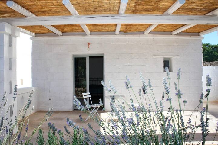 Casale tradizionale con piscina 8 posti letto gallery image 5