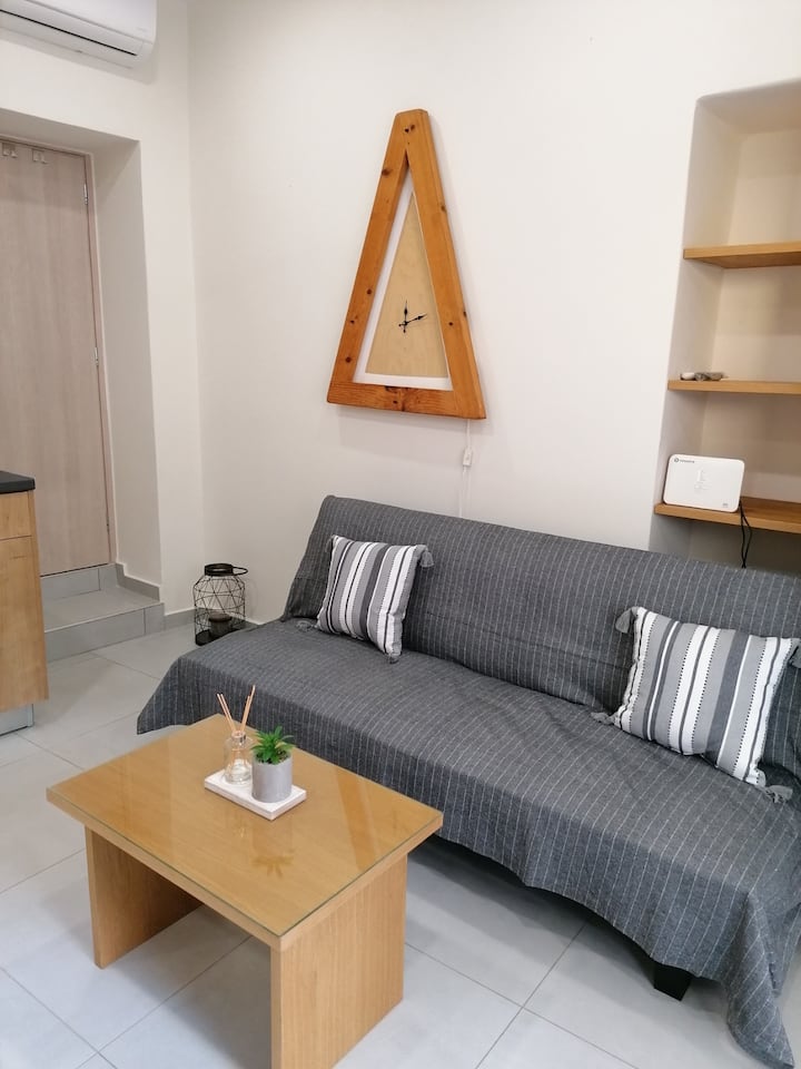 Roidis Apartments -Close To City (13) - Chania