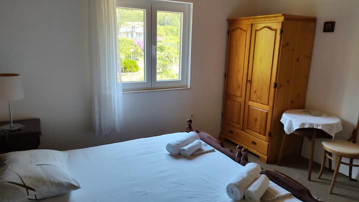 Dvokrevetna soba s bračnim krevetom i privatnom kupaonicom