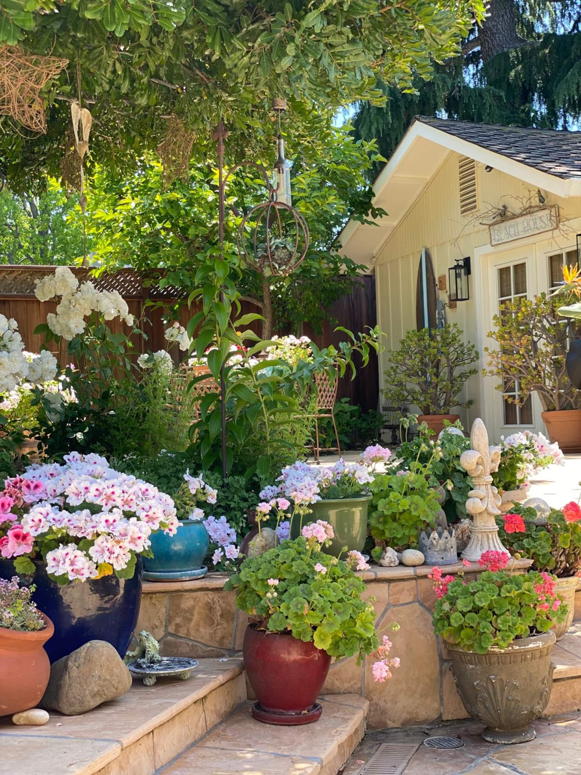 D’s Garden Cottage