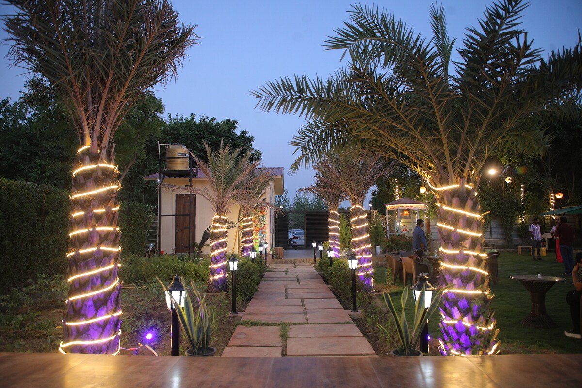 A well-lit pathway is framed by palm trees wrapped in soft lighting, leading towards cozy cottages. The landscaped garden features manicured grass and decorative plants. Subtle illumination enhances the inviting atmosphere as dusk settles over the scene.