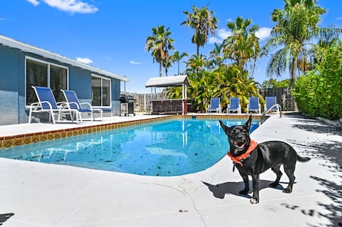 Casa Dove: Bright Pool Home • King Suite at 2nd Beach