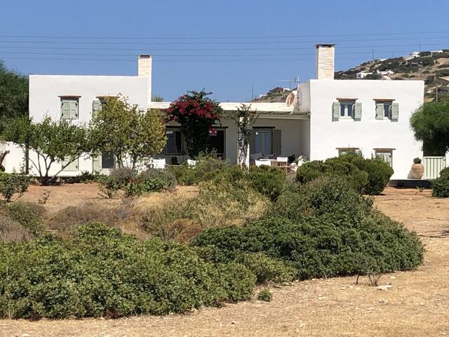 Mysterni gallery image 3