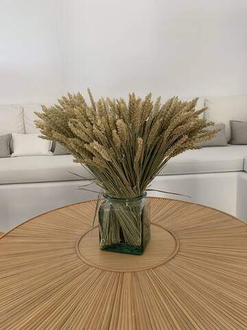 Mysterni gallery image 5