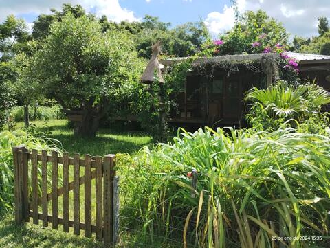 Jabiru Cabin