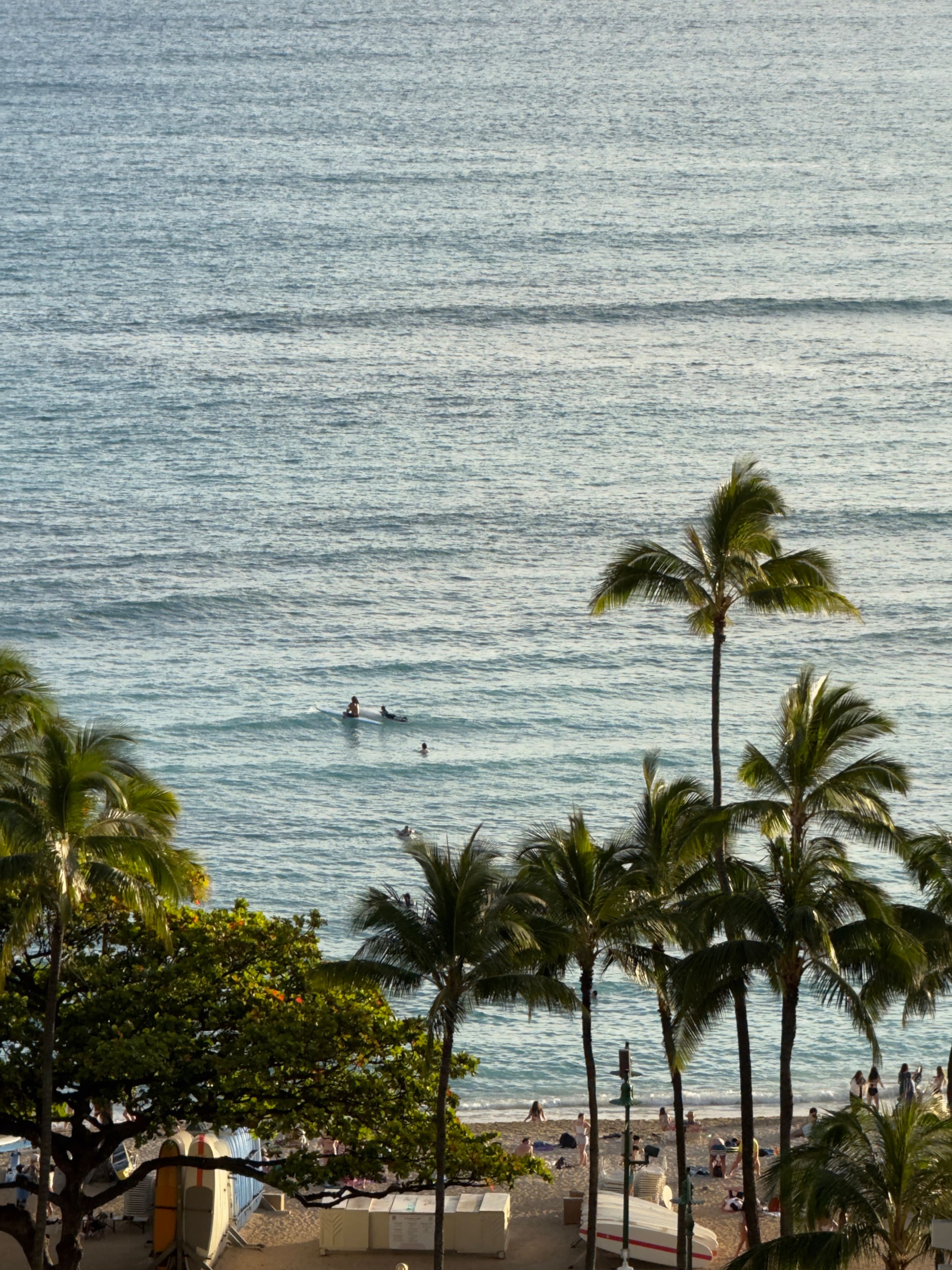 Condo in Honolulu · ★4.98 · 1 bedroom · 2 beds · 1 shared bath - Image 40