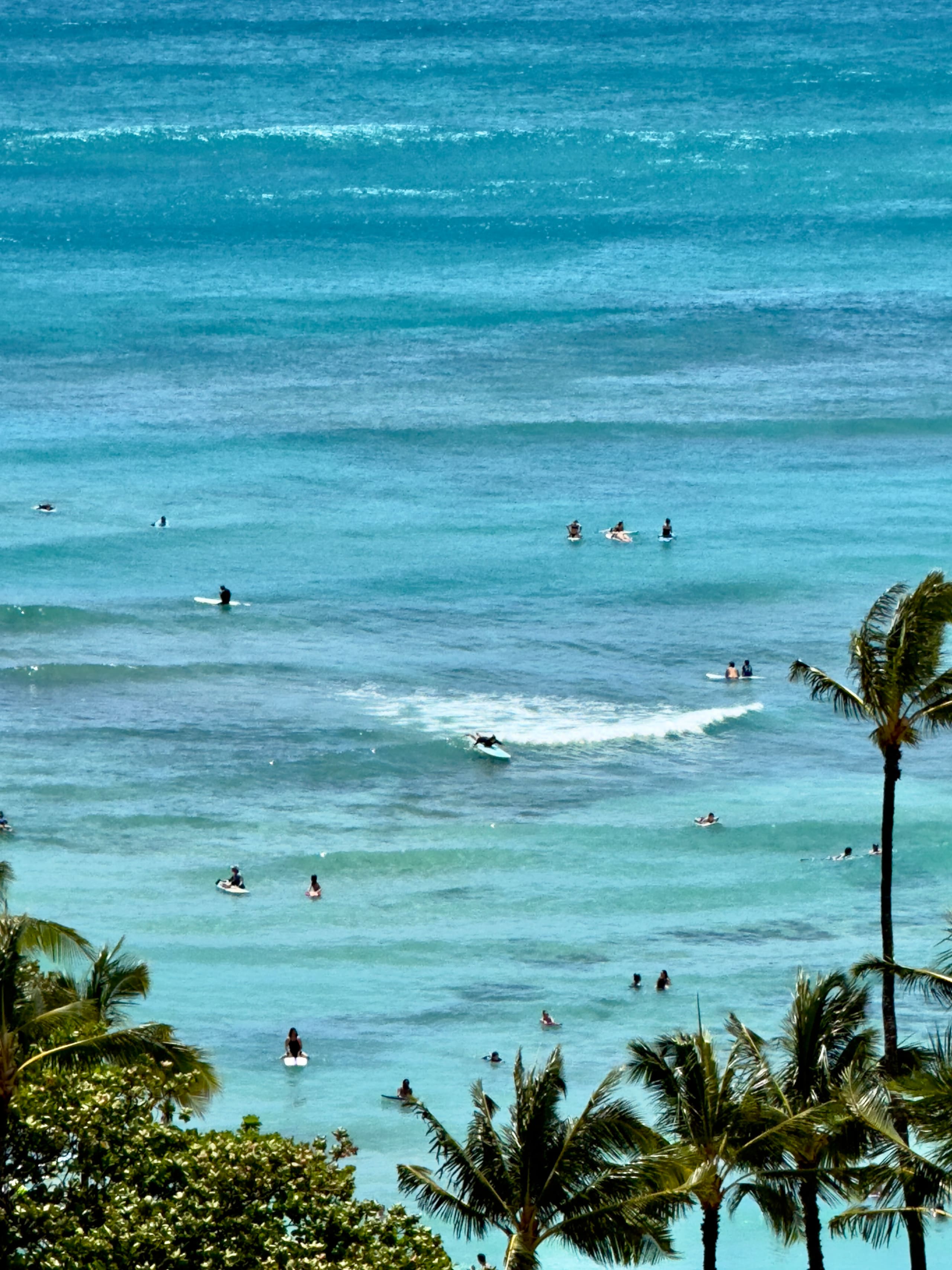 Condo in Honolulu · ★4.98 · 1 bedroom · 2 beds · 1 shared bath - Image 8