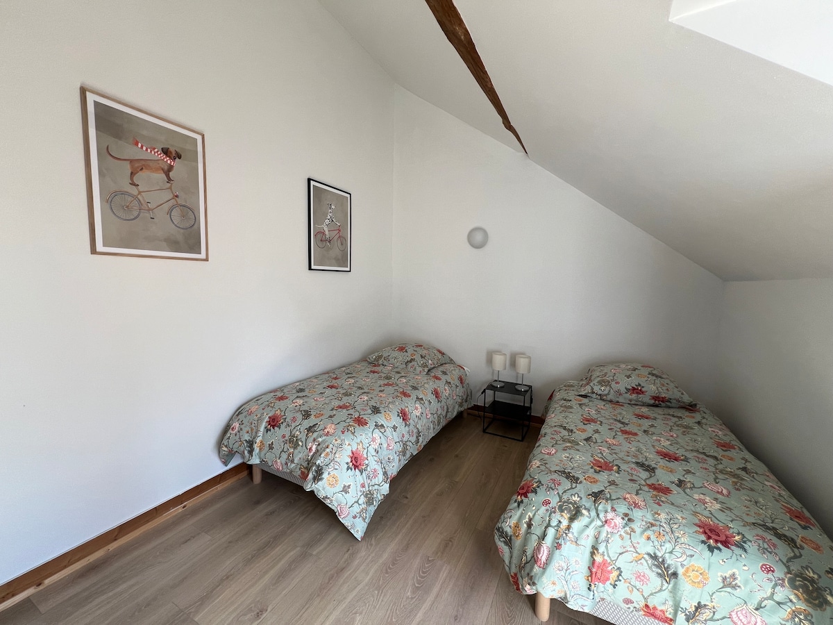 Простор за деца или големи деца, со два единечни кревета.