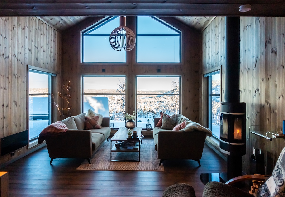 A spacious living area featuring large windows that provide views of the winter landscape. Two comfortable couches are positioned around a central coffee table. A modern fireplace adds warmth to the space, and wood paneling creates a natural ambiance.