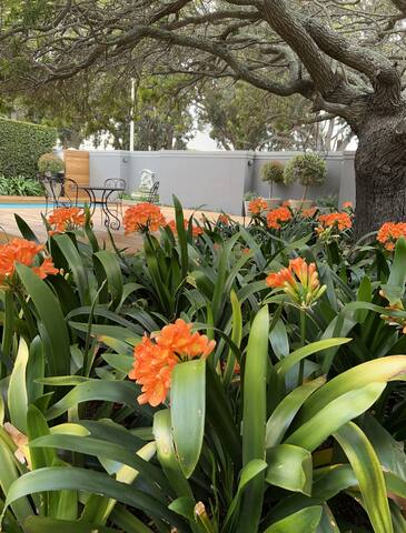 10 Poplar gallery image 4