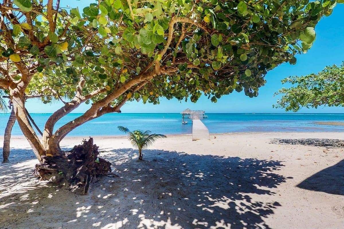 A serene beach scene features a sandy shore shaded by lush trees. Gentle waves can be seen lapping at the shore, with a distant dock extending into the water, inviting relaxation and exploration of the surrounding natural beauty.