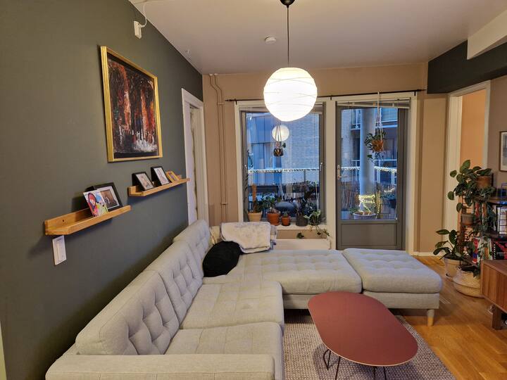 Tøyen/grünerløkka-flat - 2 Bedrooms - Oslo